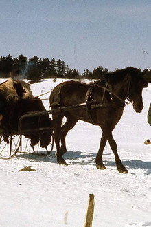 Kamouraska