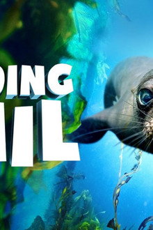 Finding Phil