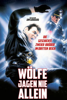 Wölfe jagen nie allein