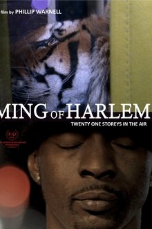 Ming of Harlem: Twenty One Storeys in the Air Ming of Harlem: Twenty One Storeys in the Air