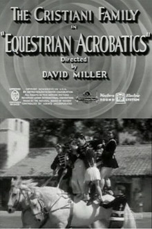 Equestrian Acrobats