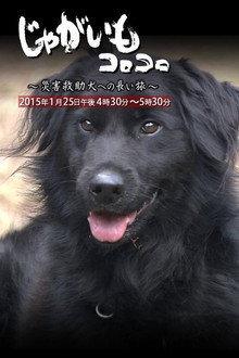じゃがいもコロコロ～災害救助犬への長い旅～