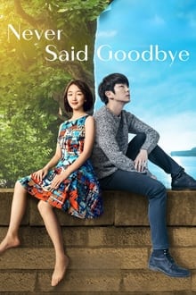 Poster do filme Never Said Goodbye