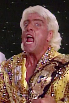 WWE Invasion '92