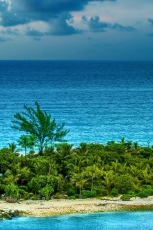 Bahamas-Life