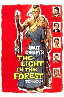 The Light in the Forest