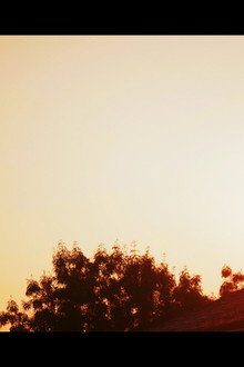 Dawn's Sunset