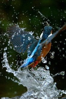 Ireland's Wild River