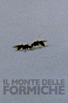 Il Monte Delle Formiche