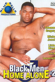 Black Men Home Alone 2