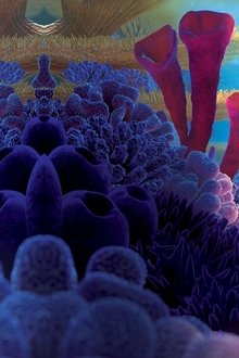 Finding Nemo