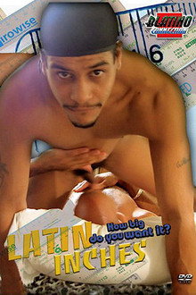 Latin Inches