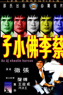 Az új shaolin harcos