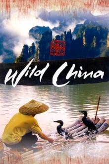 Poster da série Wild China