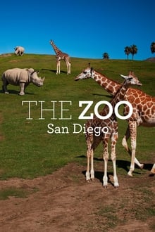 Poster da série The Zoo: San Diego
