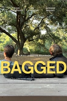 Poster do filme Bagged