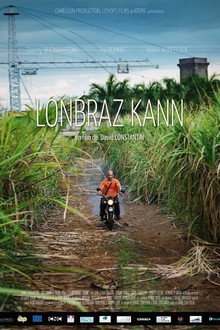 Sugarcane Shadows