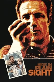 Poster do filme Hide in Plain Sight