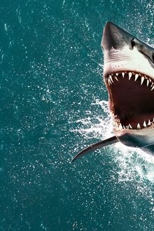 Air-Jaws-The-Hunt-for-Colossus