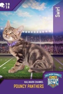 Poster do filme Kitten Bowl VIII Special