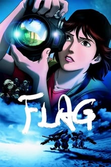 Flag tv show poster