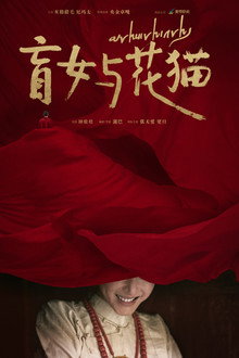 盲女与花猫