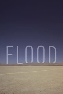 Poster do filme Flood