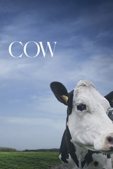 Cow (WEB-DL)