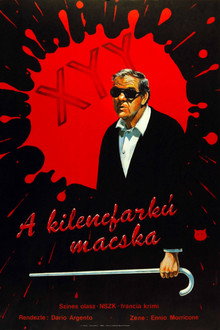 A kilencfarkú macska