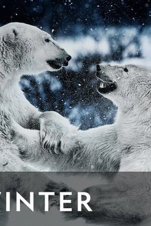 Wild-Winter