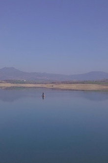 OASIS