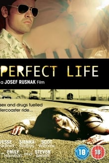 Poster do filme Perfect Life