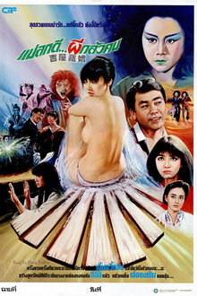 吉屋藏嬌