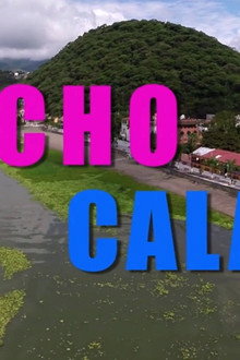 Macho calado