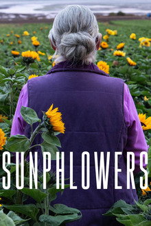Sunphlowers