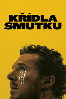 Křídla smutku