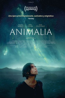 Animalia