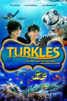 Poster do filme Turkles