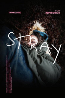 Stray