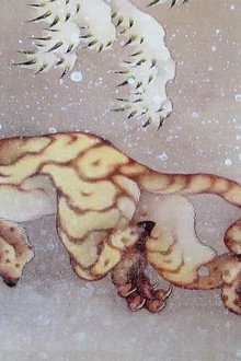 Visite à Hokusai