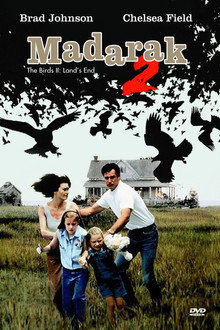 Madarak 2.