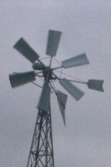 The Windmill