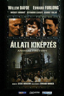 Állati kiképzés