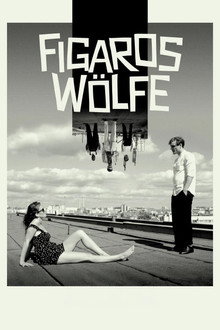 Figaros Wölfe