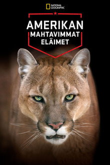 Amerikan mahtavimmat eläimet