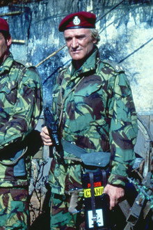 The Wild Geese