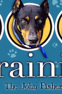 Dog Training the John Fisher Way
