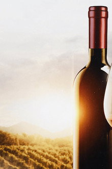 The Mostly Serious History of Wine
