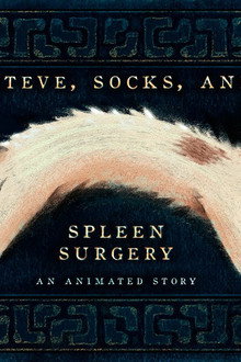 Steve, Socks, and Spleen Surgery