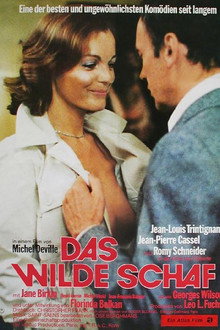 Das wilde Schaf